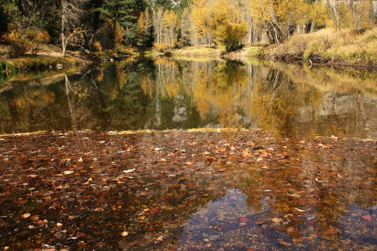 A Beautiful Sunday&nbsp;Supper