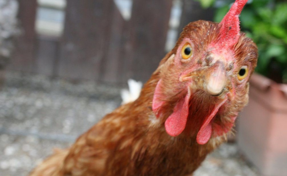 Now That’s a Little&nbsp;Different