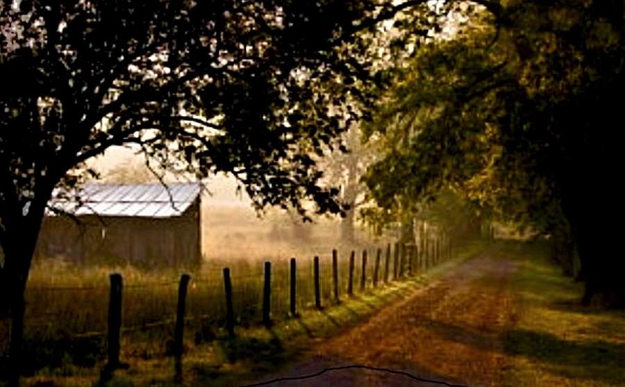 Good Morning Alabama