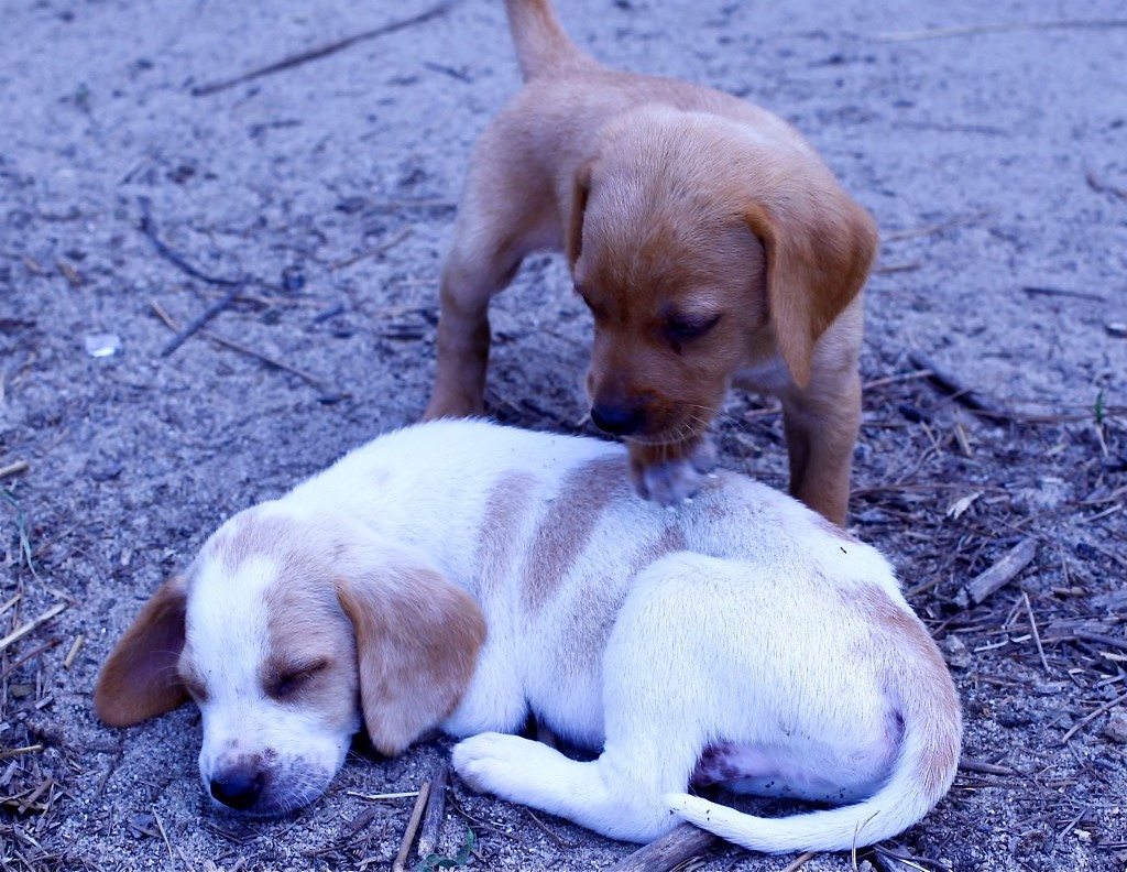 Hey There Sleepy&nbsp;Head!