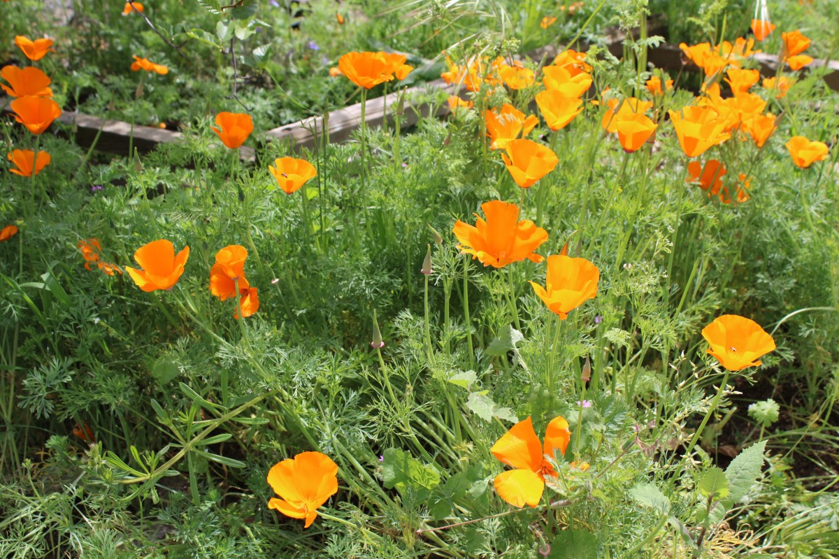 Praise Be to a Glorious&nbsp;Tuesday!