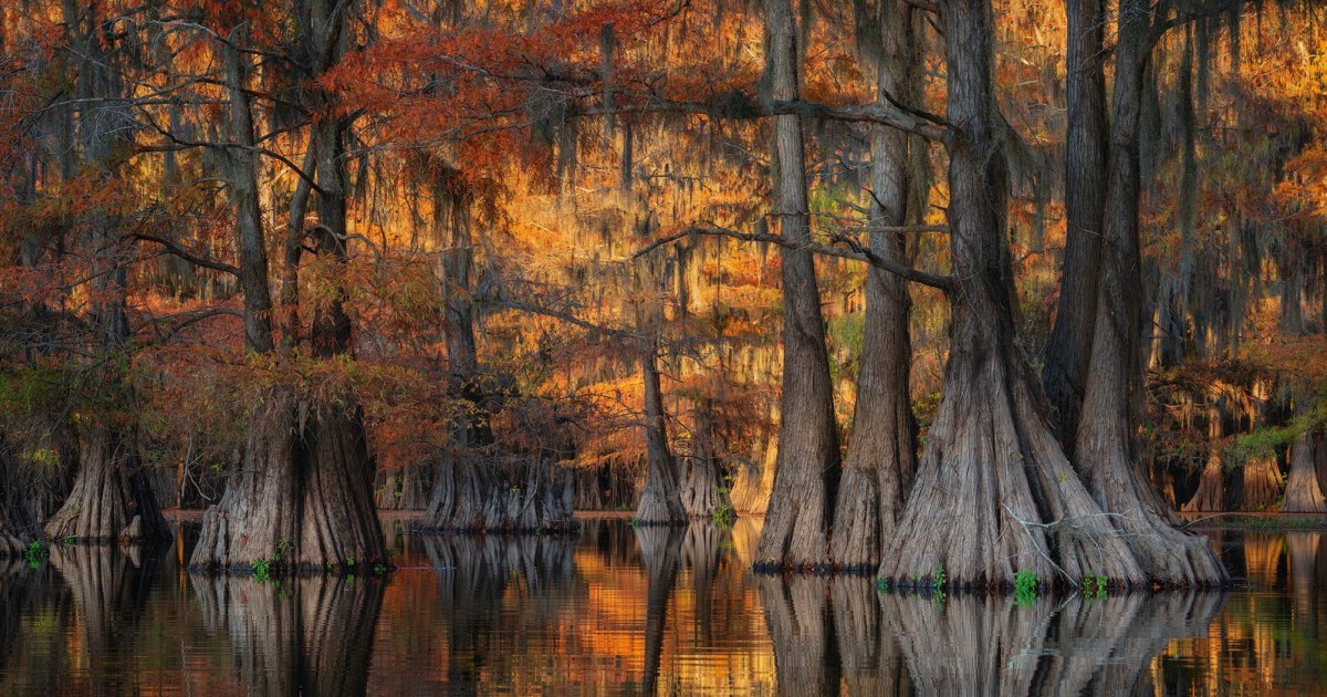 The Beauty of Autumn’s Ember&nbsp;Days