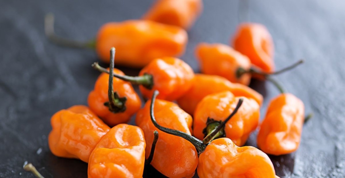 It’s Another Spicy&nbsp;Tuesday