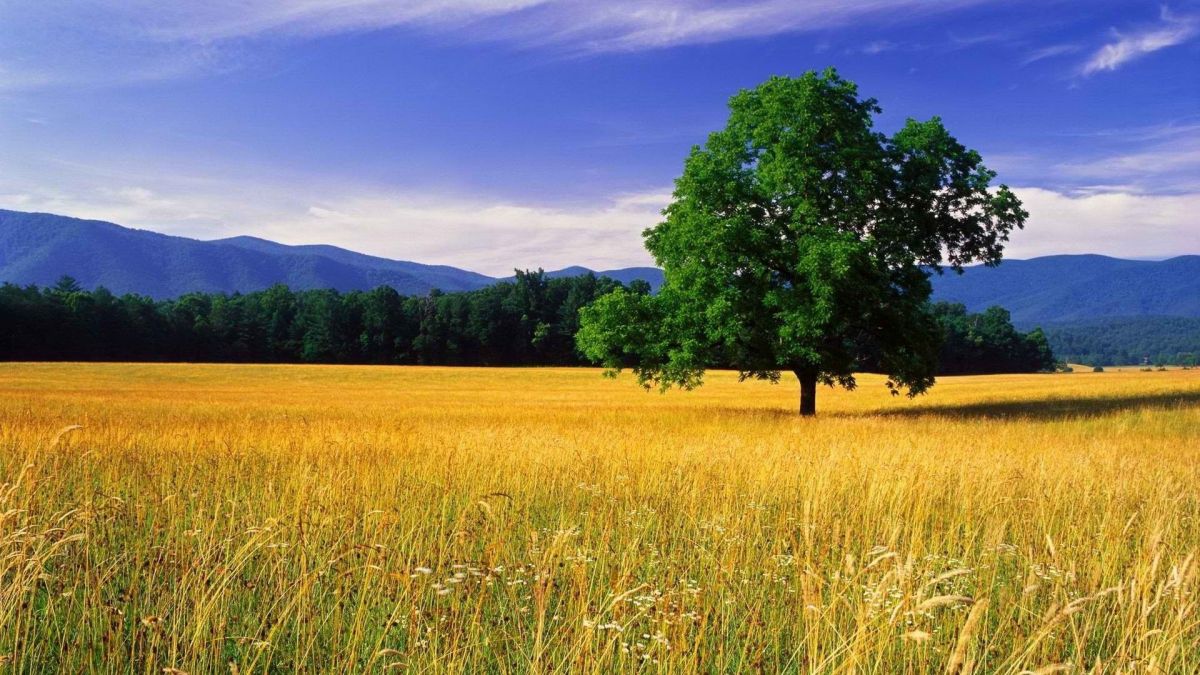 Heading for Wide Open&nbsp;Spaces