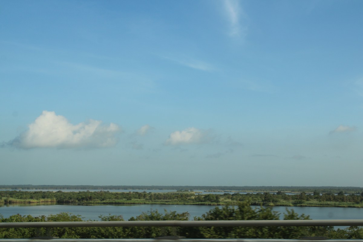 From Winnie to San&nbsp;Antonio