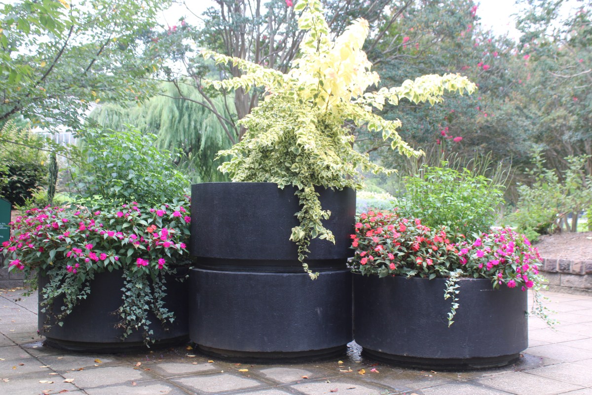 Birmingham’s Botanical Gardens